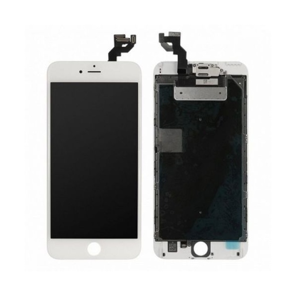 6sp-1